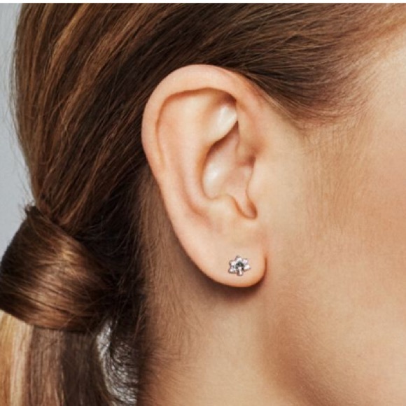 Pandora- My Nature Single Stud Earring - Picture 2 of 4